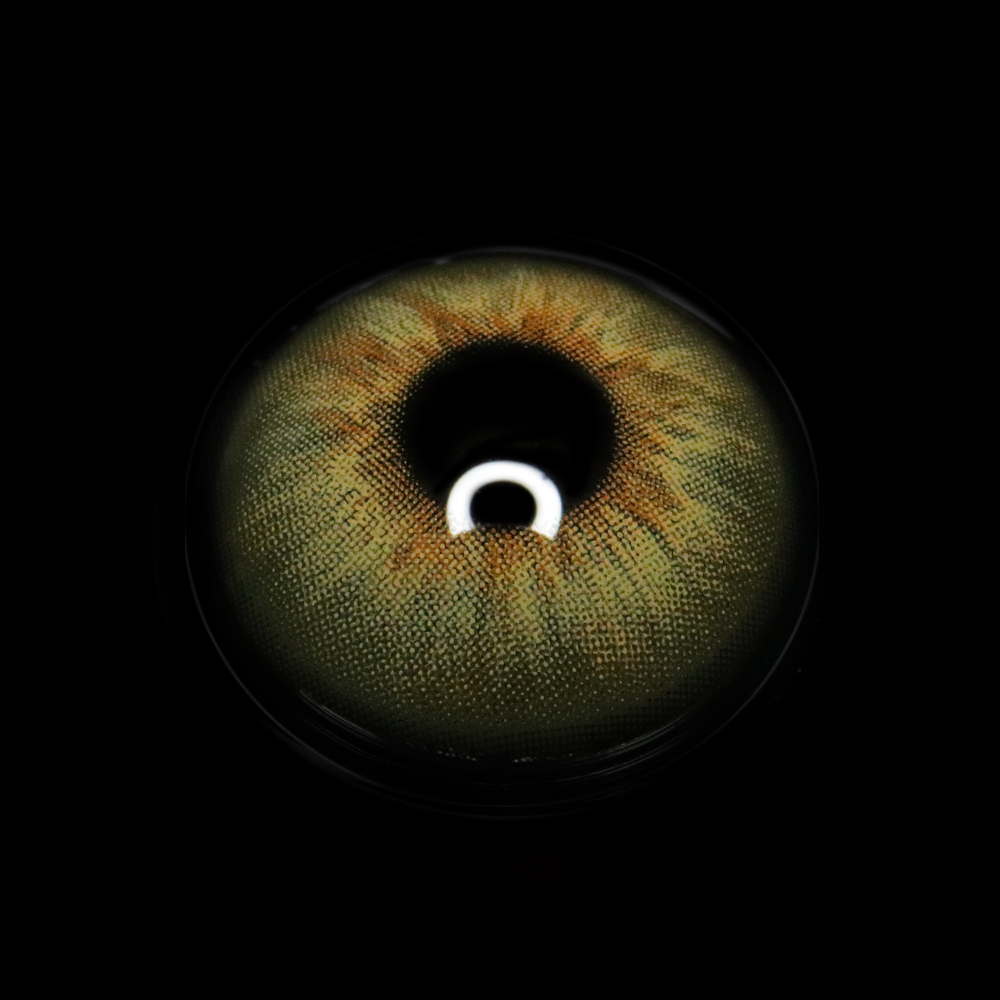 Ludmila Brown Coloured Contact Lenses